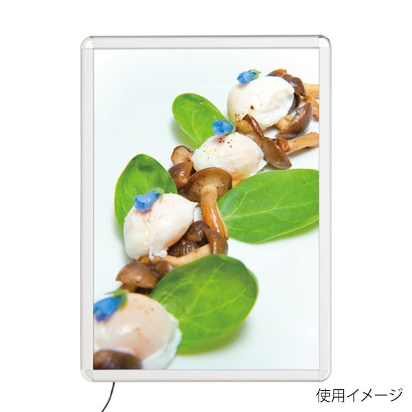 友屋 MGライトパネルカスタム 屋内外 A1 シルバー 56117-A1 1個(ご注文単位1個)【直送品】
