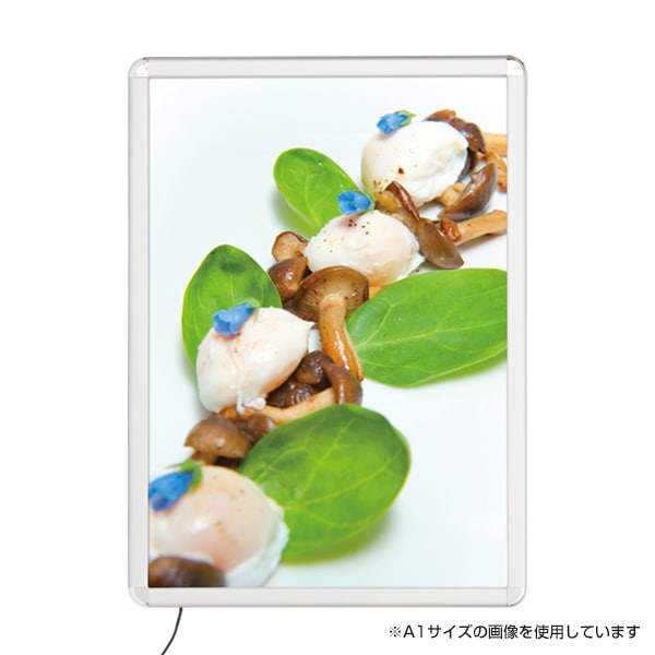 友屋 MGライトパネルカスタム 屋内外 A2 シルバー 56117-A2 1個(ご注文単位1個)【直送品】