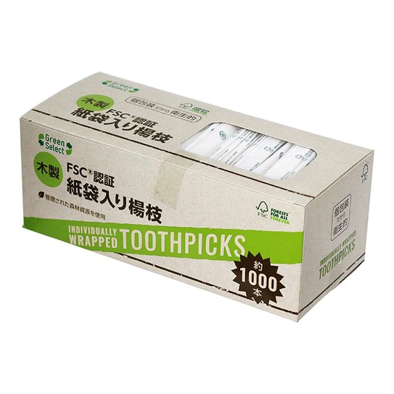 大和物産 Green Select 紙袋入楊枝 1000本入 1箱(ご注文単位50箱)【直送品】
