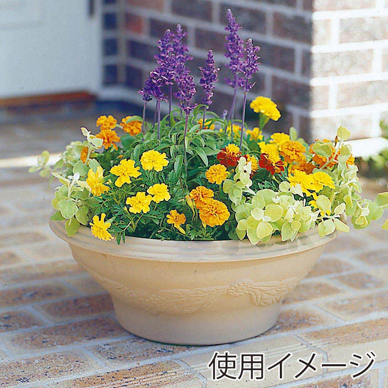 アイリスオーヤマ レリーフボールプランター 450 ウォームベージュ 1個(ご注文単位20個)【直送品】