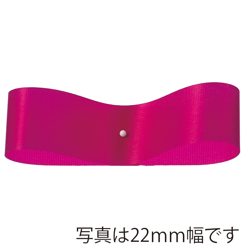 #20 ｱｻﾞﾚｱ