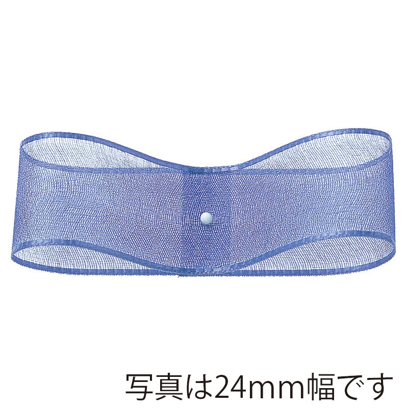 東京リボン リボン オーガンジー・H 47700 12×30 #10 1巻(ご注文単位1巻)【直送品】