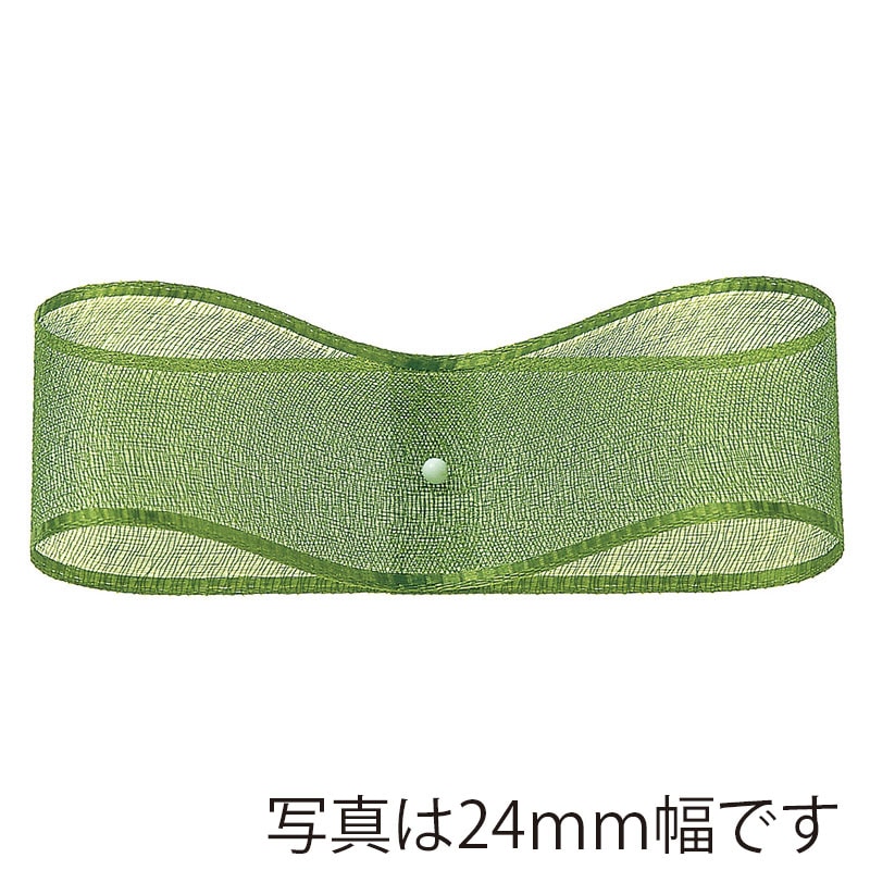 東京リボン リボン オーガンジー・H 47700 12×30 #29 1巻(ご注文単位1巻)【直送品】
