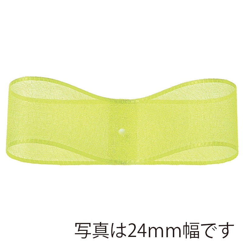 東京リボン リボン オーガンジー・H 47700 12×30 #65 1巻(ご注文単位1巻)【直送品】