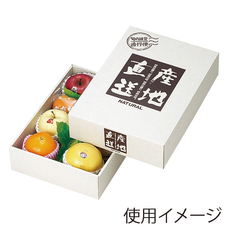 ヤマニパッケージ ギフト箱 旬の味覚 大 L-311 10枚/束(ご注文単位4束)【直送品】