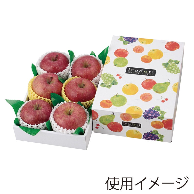 ヤマニパッケージ ギフト箱 いろどりパレット 小105 L-2195 10枚/束(ご注文単位5束)【直送品】