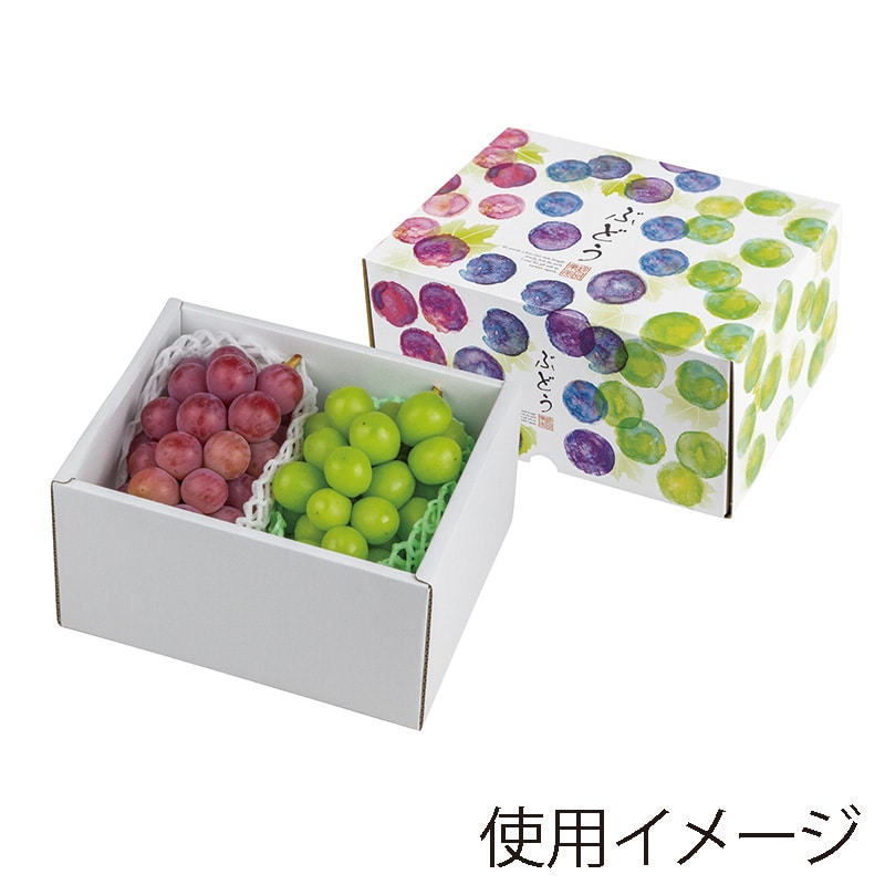 ヤマニパッケージ ギフト箱　彩りぶどう　身深 小 L-2485 10枚/束（ご注文単位5束）【直送品】