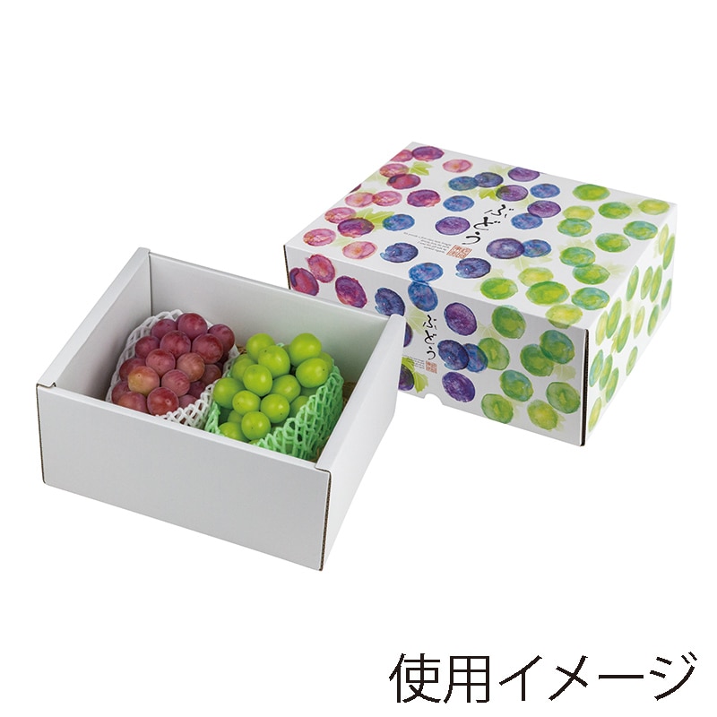 ヤマニパッケージ ギフト箱　彩りぶどう　身深 中 L-2486 10枚/束（ご注文単位4束）【直送品】