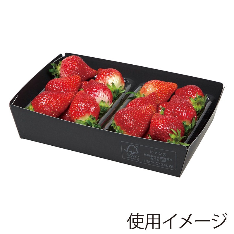 ヤマニパッケージ いちごパック用黒トレー 大　FS L-490FS 25枚/袋（ご注文単位16袋）【直送品】