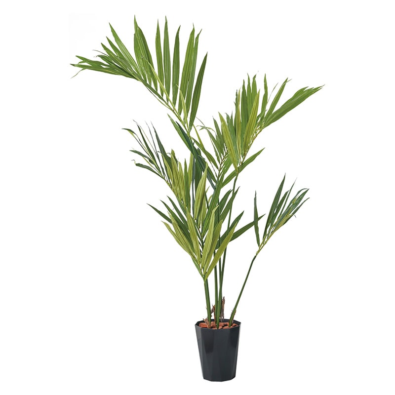 ポピー 造花　ケンチャヤシポット 150cm GLPS-1528　BKL 1個（ご注文単位1個）【直送品】