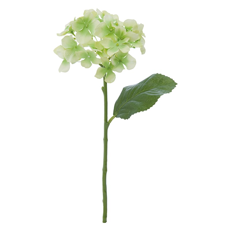 グリーン