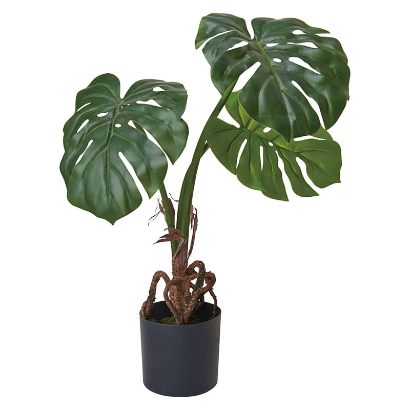 ポピー 造花 フレッシュモンステラ GLP-1514 GR 1本(ご注文単位1本)【直送品】