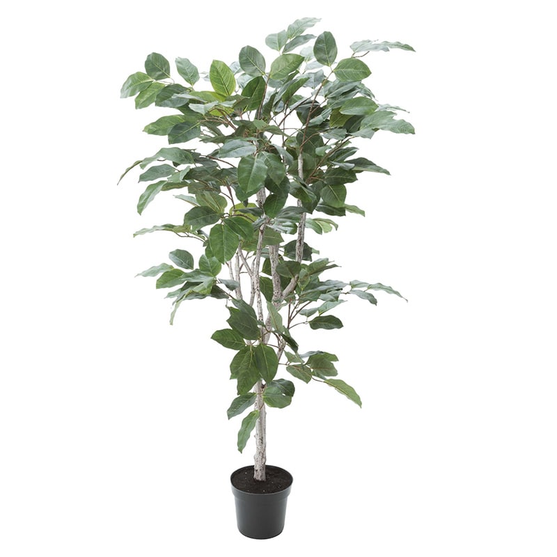 ポピー 造花 フィカスベンガレンシス GLP-1517 GR 1個(ご注文単位1個)【直送品】