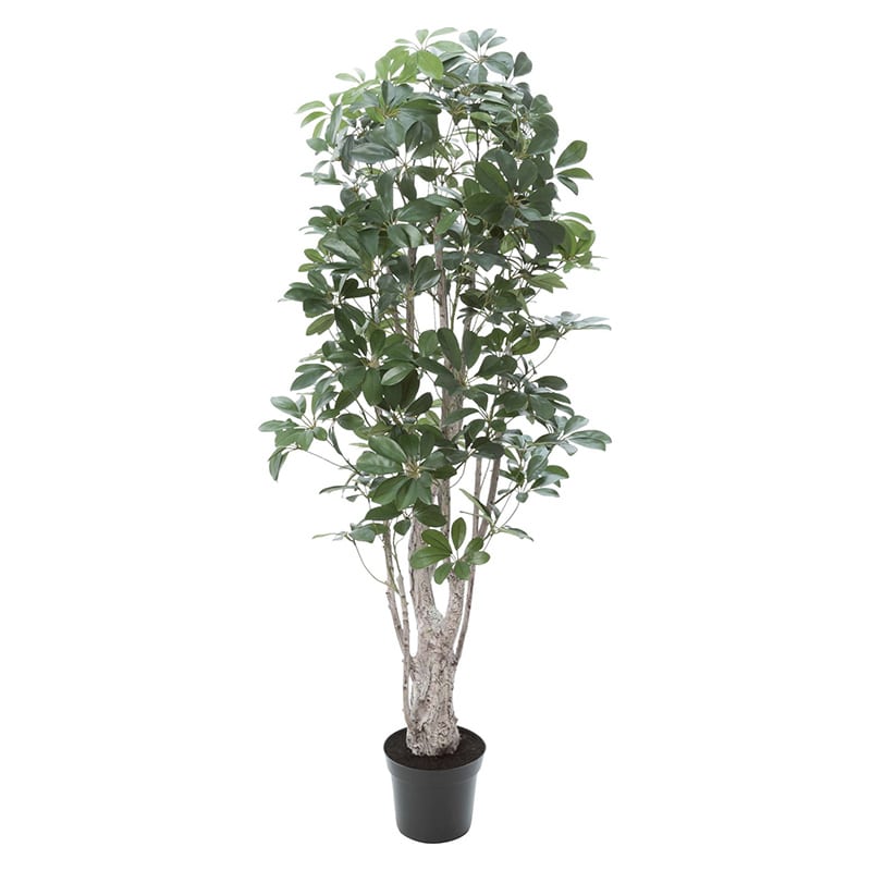ポピー 造花 シェフレラ GLP-1518 GR 1本(ご注文単位1本)【直送品】