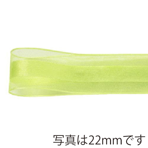 青山 リボン シェアサテンエルフ 0511 16×30 #05 1巻(ご注文単位1巻)【直送品】