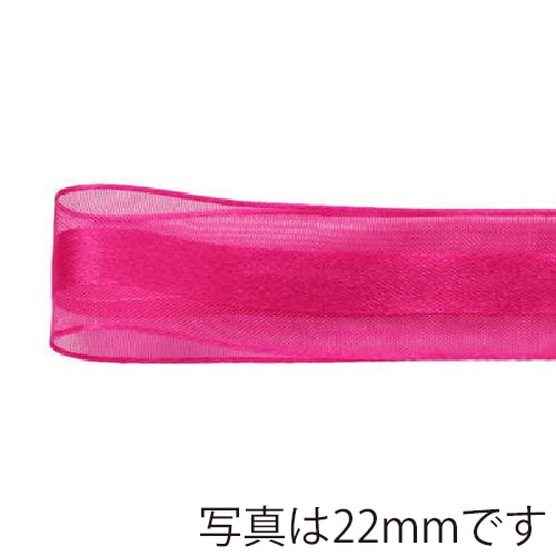 青山 リボン シェアサテンエルフ 0511 16×30 #15 1巻(ご注文単位1巻)【直送品】