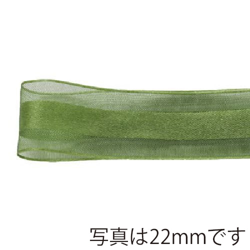 青山 リボン シェアサテンエルフ 0511 16×30 #41 1巻(ご注文単位1巻)【直送品】