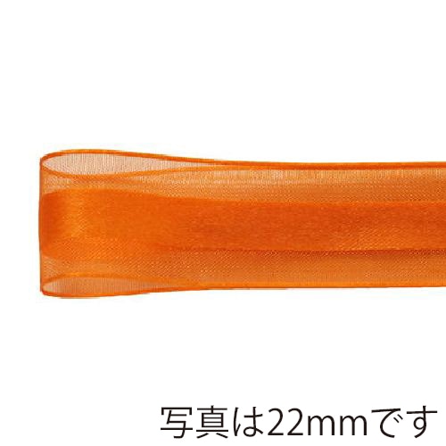 青山 リボン シェアサテンエルフ 0511 16×30 #53 1巻(ご注文単位1巻)【直送品】