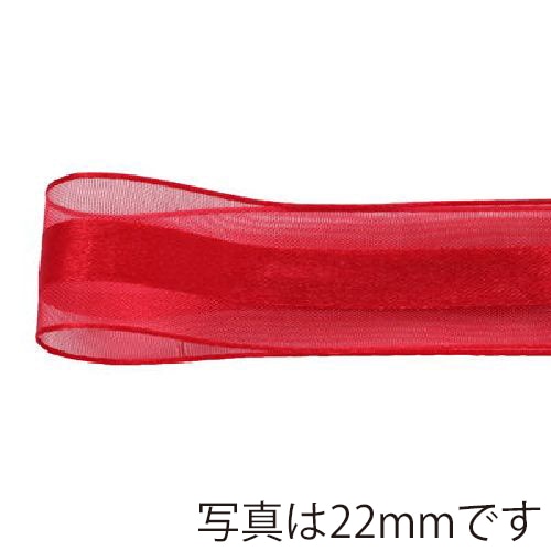 青山 リボン シェアサテンエルフ 0511 16×30 #55 1巻(ご注文単位1巻)【直送品】