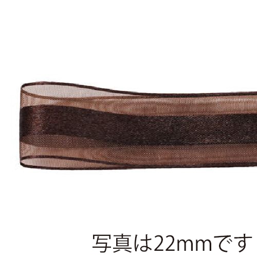 青山 リボン シェアサテンエルフ 0511 16×30 #60 1巻(ご注文単位1巻)【直送品】