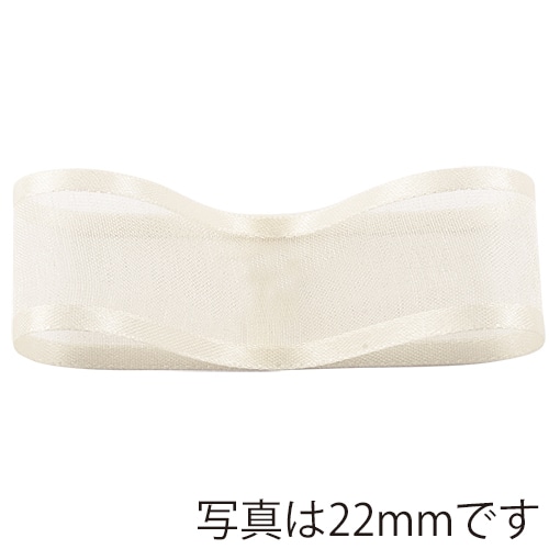 青山 リボン シェアーサテン 0574 48×20 #19 1巻(ご注文単位1巻)【直送品】