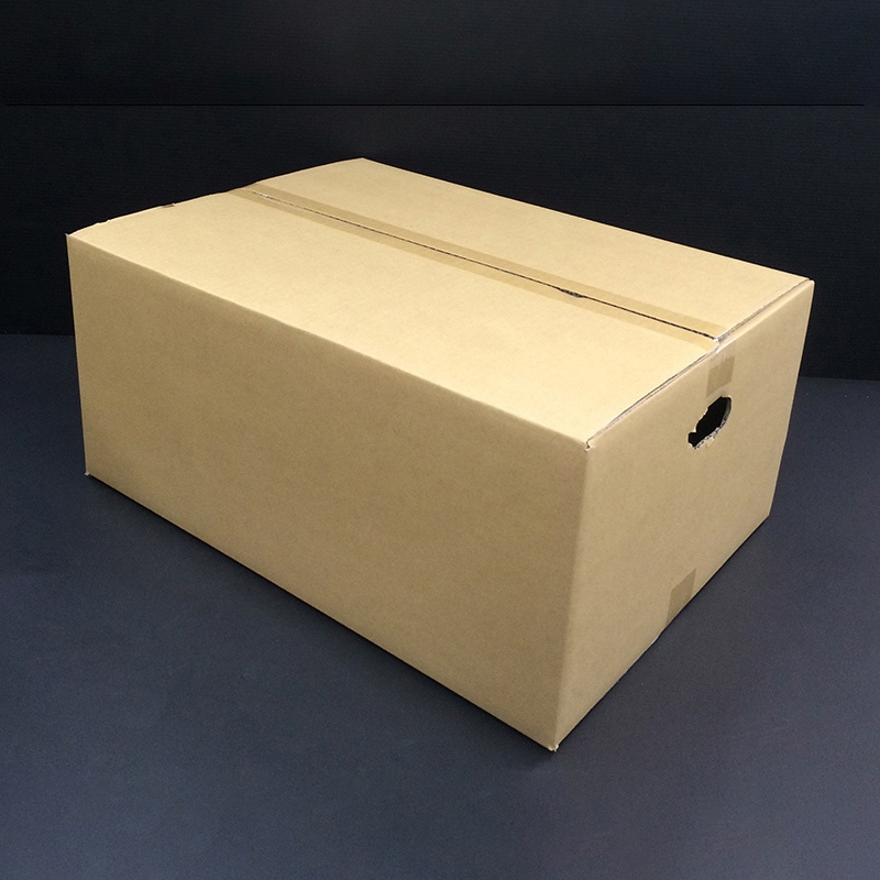 アイリスオーヤマ ダンボール 40×55×25 M-DB-120C 1個（ご注文単位10個）【直送品】