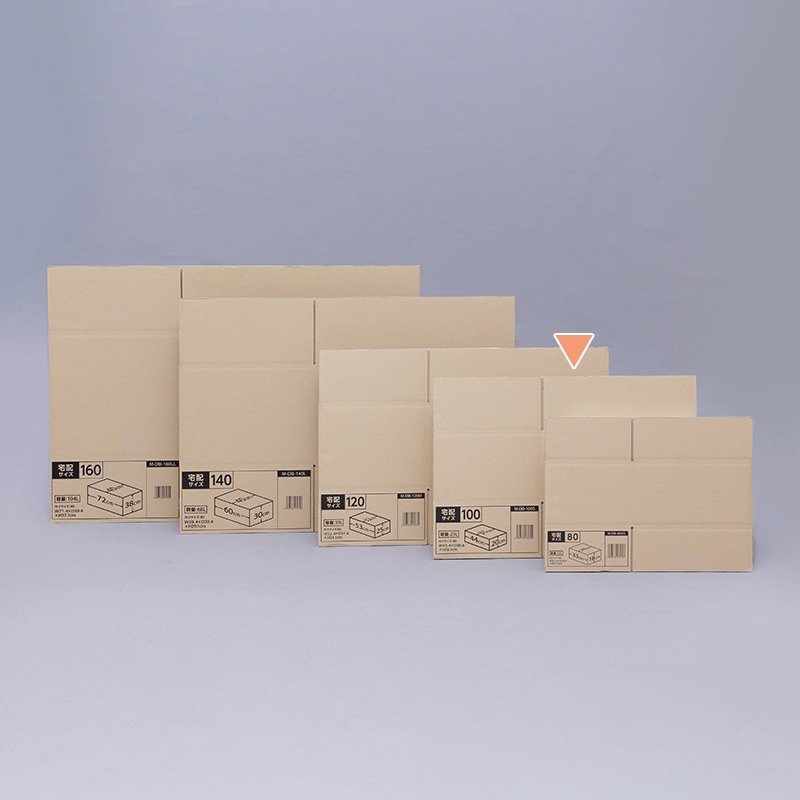 アイリスオーヤマ ダンボール 100サイズ 44×31×20 M-DB-100S 1個（ご注文単位10個）【直送品】
