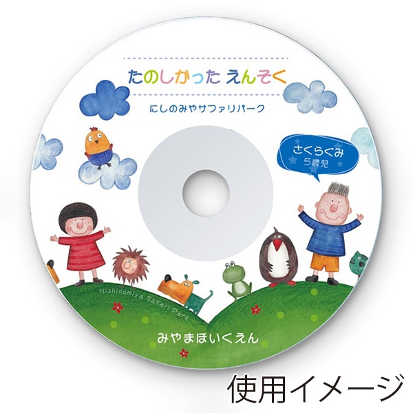 サンワサプライ インクジェット DVD・CDラベル つやなしマット 内径41mm 50シート LB-CDR001N-50 1個（ご注文単位1個）【直送品】