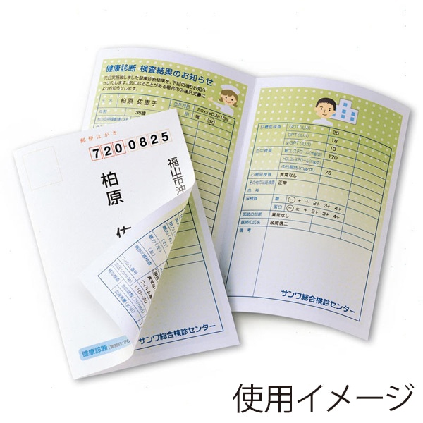 サンワサプライ インクジェット用シークレットはがき 20セット入 JP-HKSEC13N 1冊(ご注文単位1冊)【直送品】
