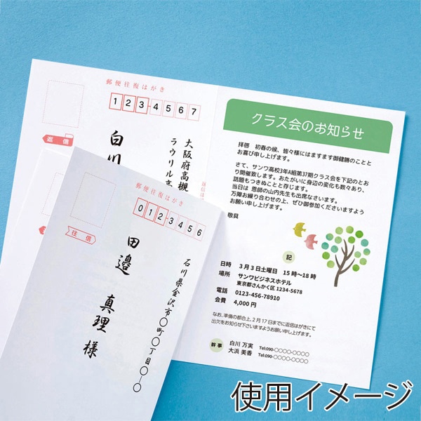 サンワサプライ インクジェットつやなしマット用紙 往復はがき 20枚入 JP-HKDP20N2 1個（ご注文単位1個）【直送品】