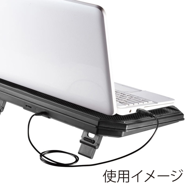 サンワサプライ ノートパソコン用クーラーパッド 10.1~17.3インチワイド TK-CLN29U 1個(ご注文単位1個)【直送品】