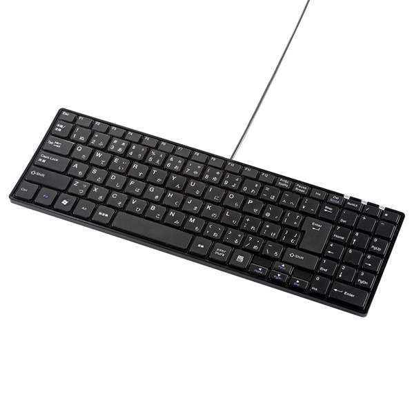 サンワサプライ USBスリムキーボード テンキー付き ブラック SKB-SL17BKN 1個（ご注文単位1個）【直送品】