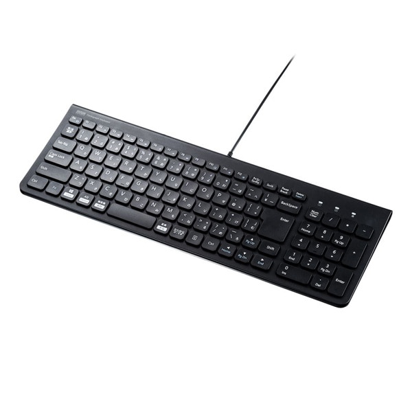サンワサプライ USBスリムキーボード ブラック SKB-SL31BK 1個(ご注文単位1個)【直送品】