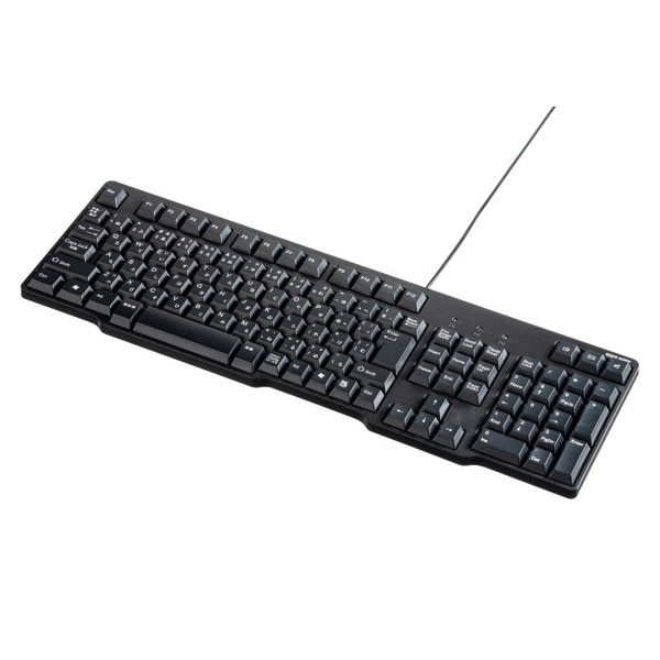 サンワサプライ USBキーボード ブラック SKB-L2UBKN 1個(ご注文単位1個)【直送品】