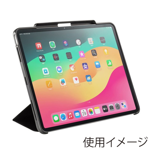 サンワサプライ iPad Air 13インチ用ソフトケース タッチペン収納ポケット付き ブラック PDA-IPAD2114BK 1個(ご注文単位1個)【直送品】