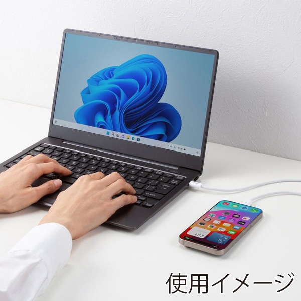 サンワサプライ USB Type-C シリコンメッシュケーブル 2m ホワイト KU-CCP60SM20W 1個(ご注文単位1個)【直送品】