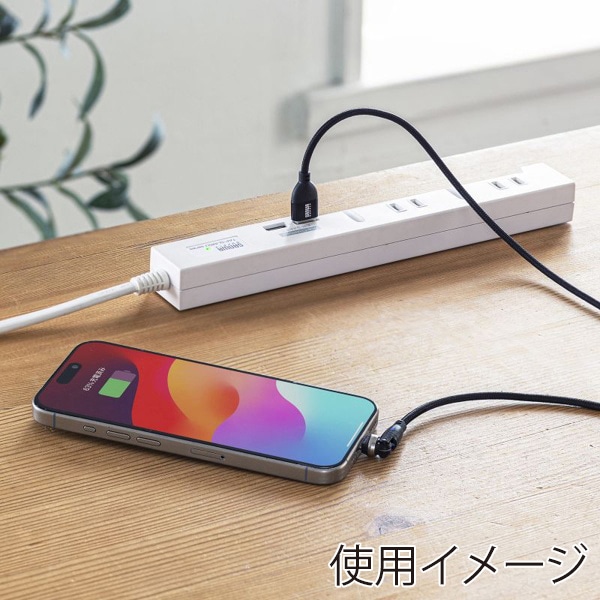 サンワサプライ USB2.0 TypeC-A 回転ケーブル 2m ブラック KU-CAKA20BK 1個（ご注文単位1個）【直送品】