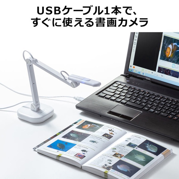 サンワサプライ USB書画カメラ CMS-V46W 1個(ご注文単位1個)【直送品】