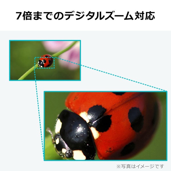 サンワサプライ USB書画カメラ CMS-V46W 1個(ご注文単位1個)【直送品】