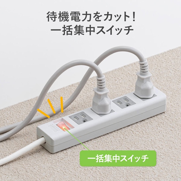 サンワサプライ シャッタータップ 2Pスイングプラグ 集中スイッチ 3P・6個口・5m TAP-SH3650MGSW 1個(ご注文単位1個)【直送品】