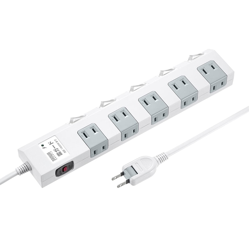 サンワサプライ 節電タップ 2P　10個口　5m TAP-SP2110SW-5 1個（ご注文単位1個）【直送品】