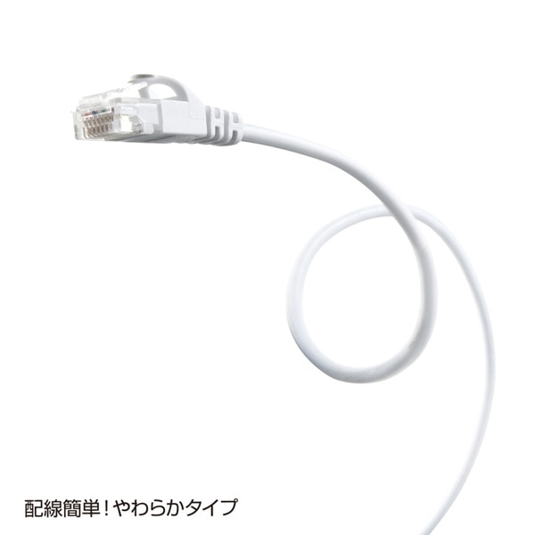 サンワサプライ 極細LANケーブル カテゴリ6 0.5m ホワイト LA-SL6-005W 1個（ご注文単位1個）【直送品】