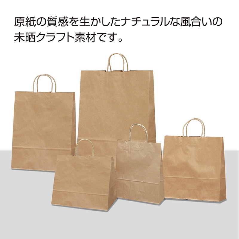 ササガワ 手提げ紙袋 未晒 大 50枚 50-5301 1包(ご注文単位1包)【直送品】