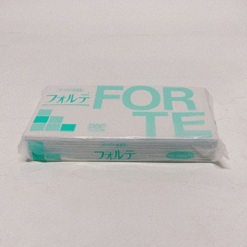 太洋紙業 ペーパータオル フォルテ 100 レギュラー 100枚 1個(ご注文単位100個)【直送品】