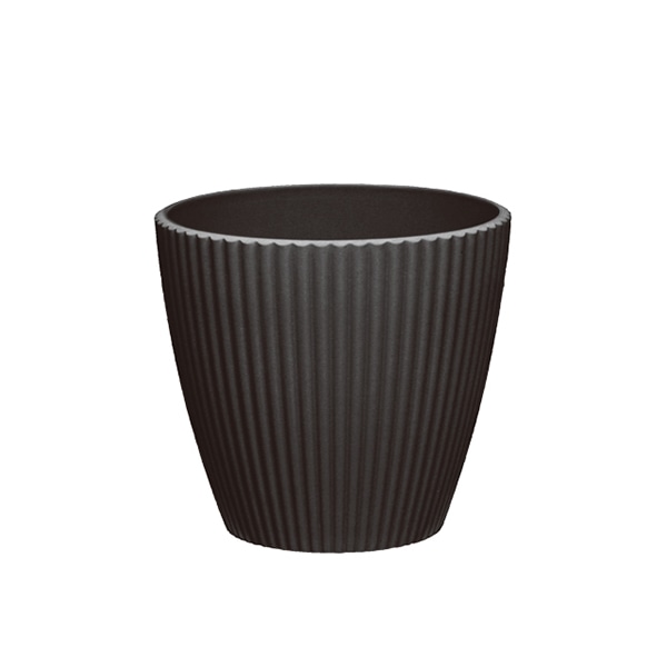 大橋新治商店 プララ　ブラック M 56-542 1個（ご注文単位10個）【直送品】