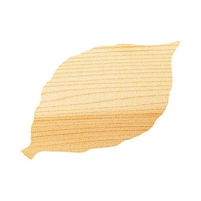 ヤマコー 杉懐敷 木の葉 100枚入 24010 1パック(ご注文単位1パック)【直送品】