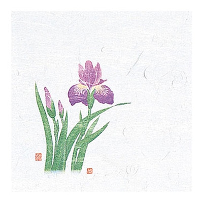 ヤマコー 4寸OP懐石敷紙 菖蒲 100枚入 65112 1袋(ご注文単位1袋)【直送品】