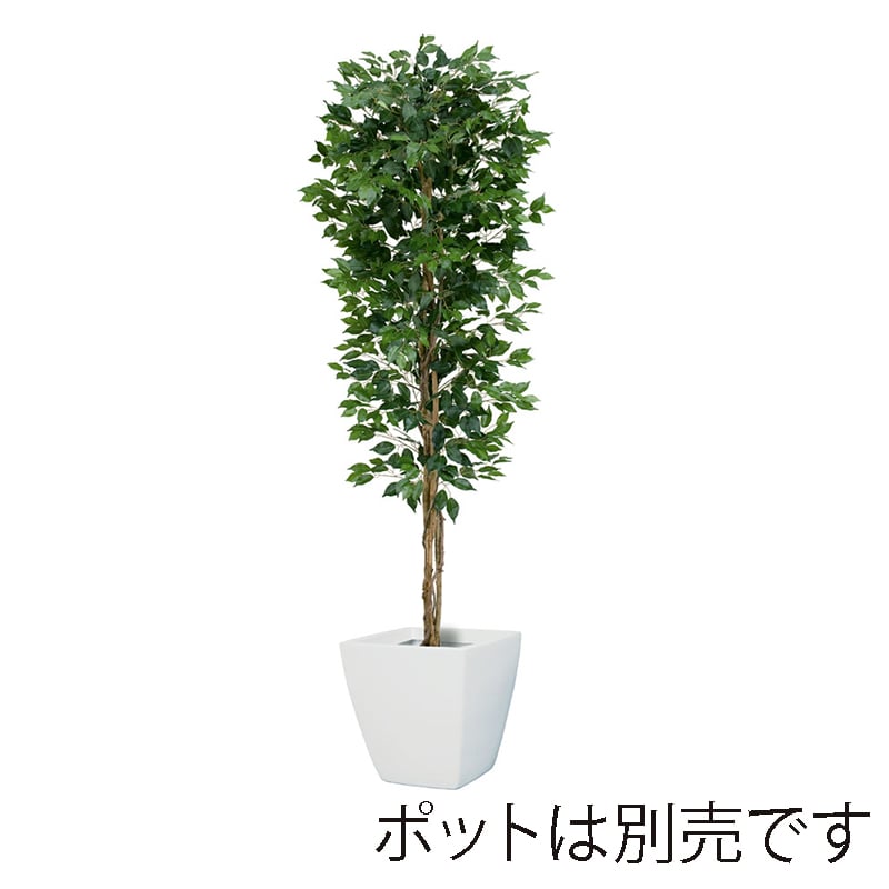 ドガ フィカスツリー L 210cm ナチュラルトランク NGT-2017-L 1本(ご注文単位1本)【直送品】