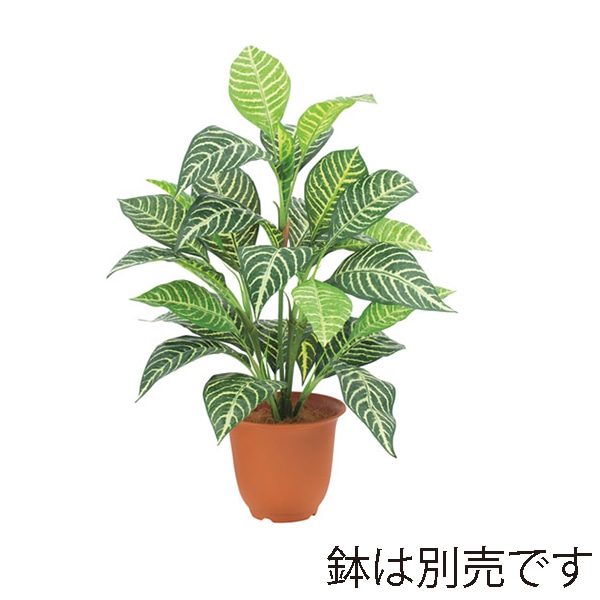 ドガ エバーグリーンゼブラブッシュ  LEB-8183 1本（ご注文単位1本）【直送品】