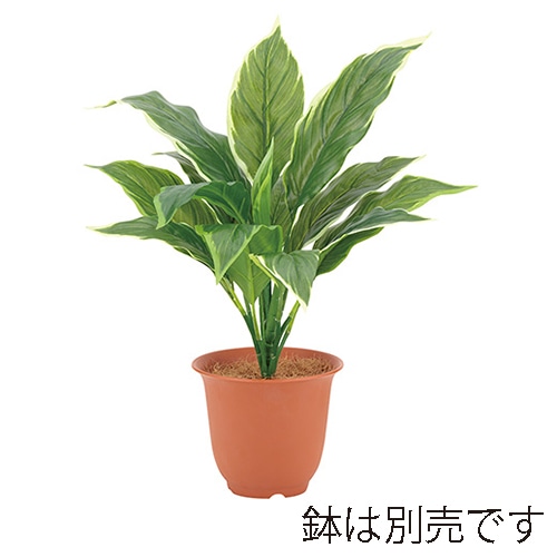 ドガ ウォータープルーフハランブッシュ  LEB-8201 1本（ご注文単位1本）【直送品】